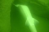 2008-09-07 10-04-29